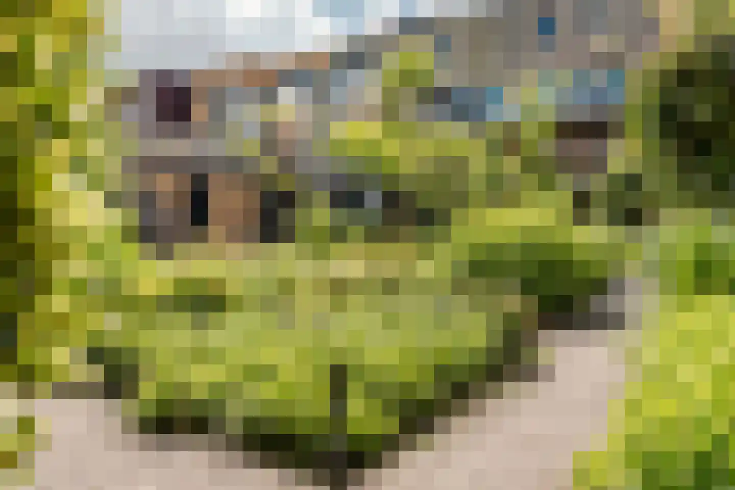 Lippizanerstraat 15 Utrecht thumbnail 43