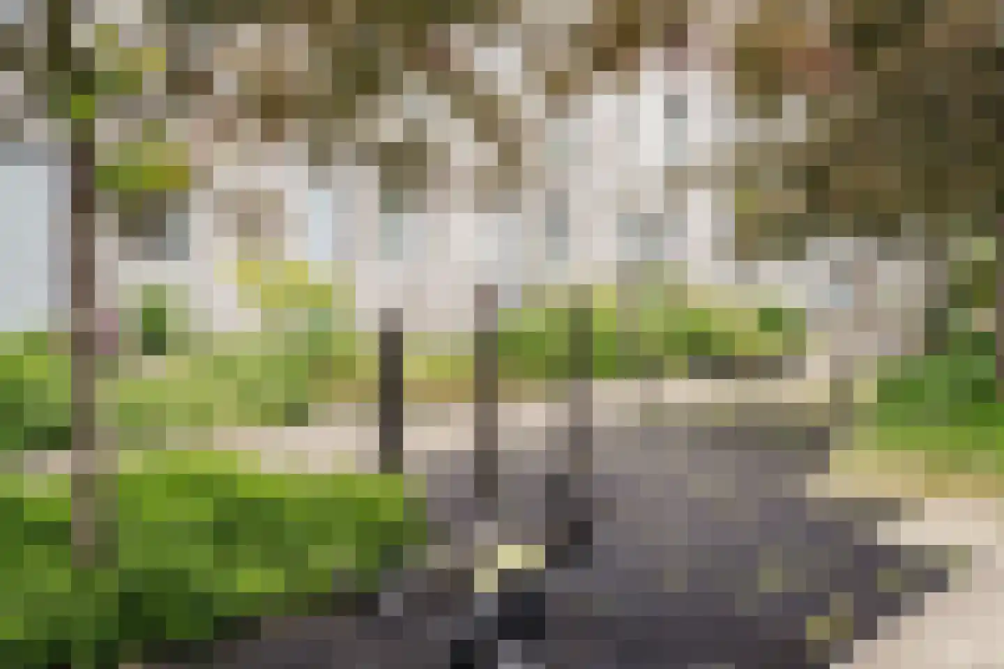 Lippizanerstraat 15 Utrecht thumbnail 45
