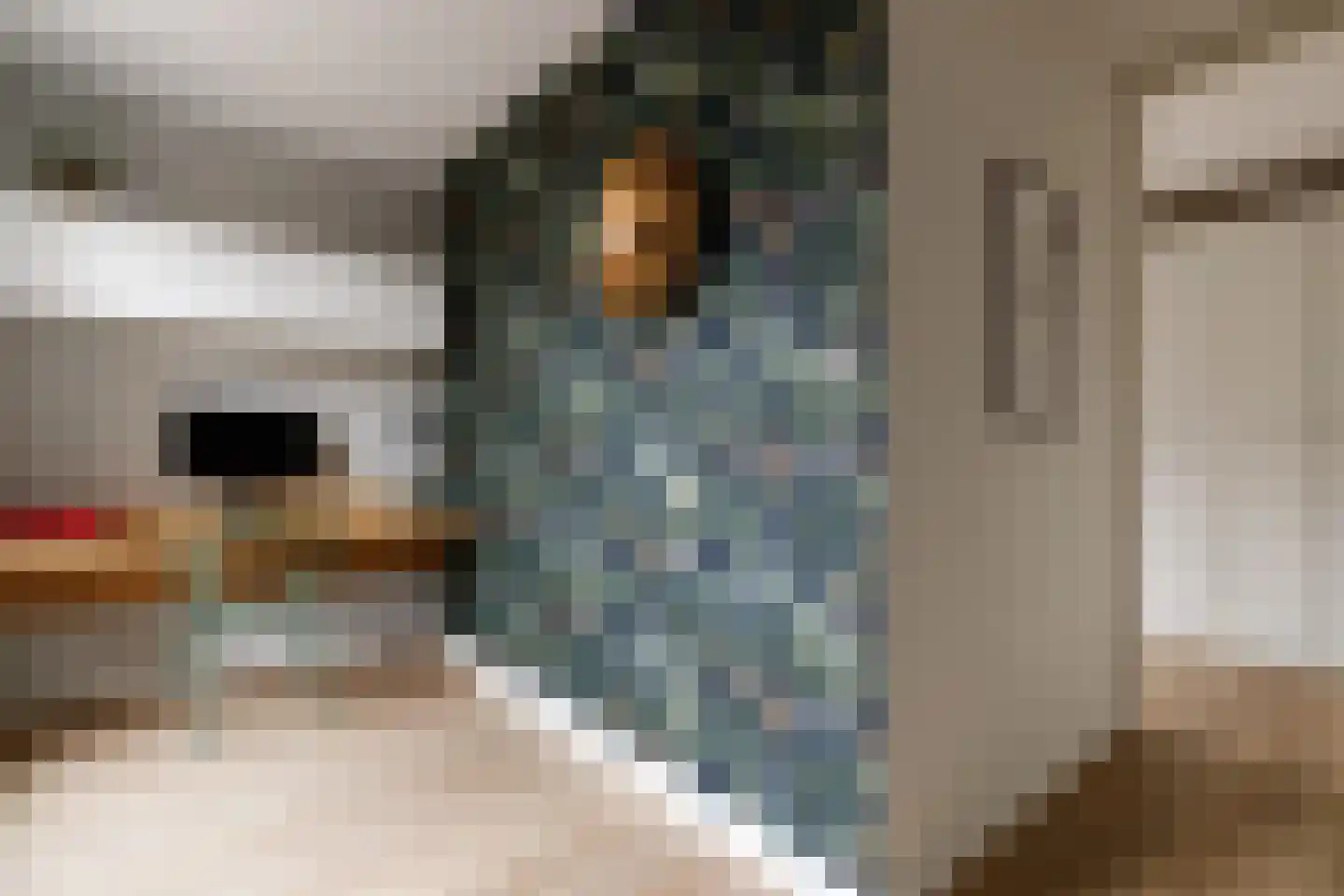 Lippizanerstraat 17 Utrecht thumbnail 22
