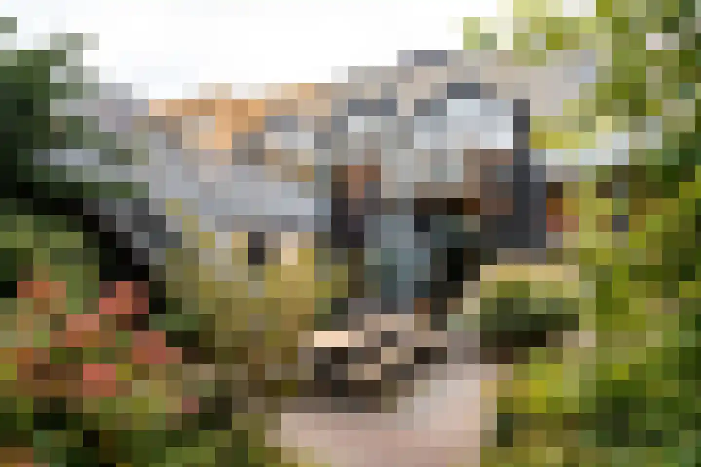 Lippizanerstraat 17 Utrecht thumbnail 37