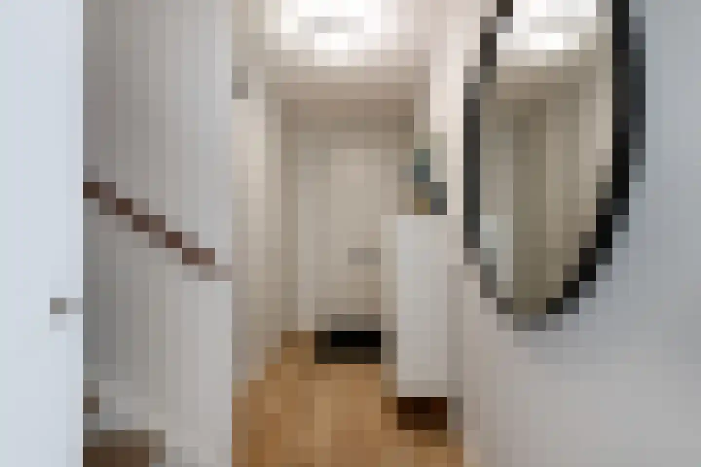 Lippizanerstraat 17 Utrecht thumbnail 5