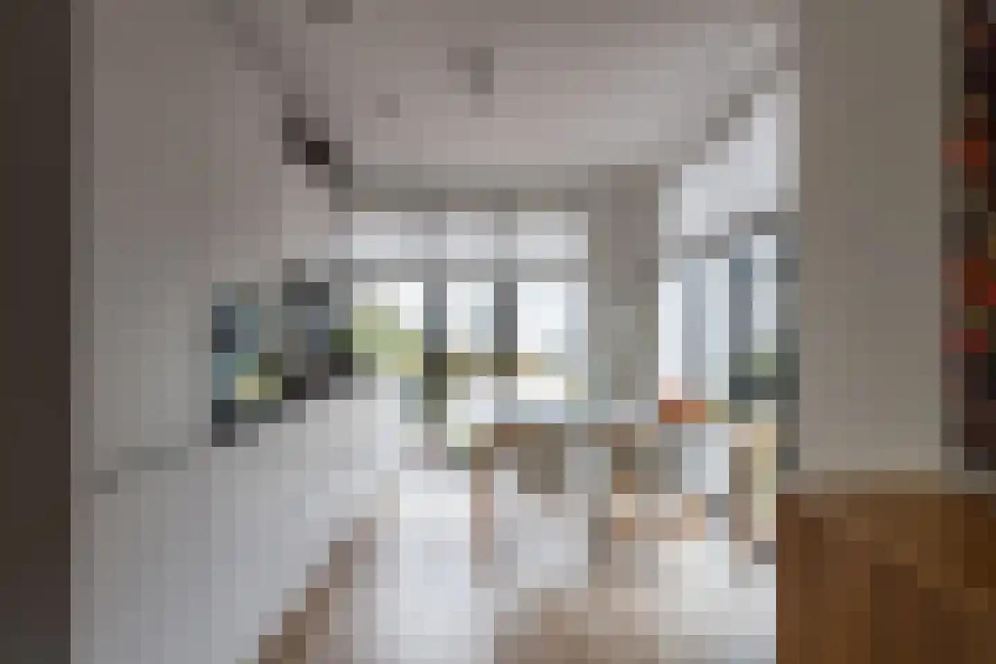 Lippizanerstraat 17 Utrecht thumbnail 6