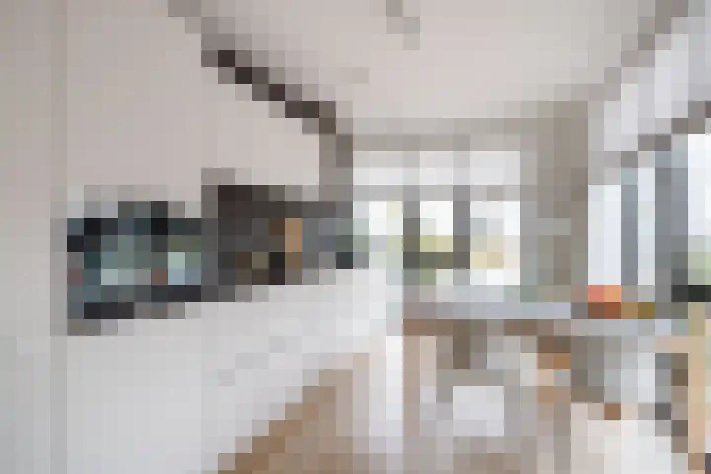 Lippizanerstraat 17 Utrecht thumbnail 7
