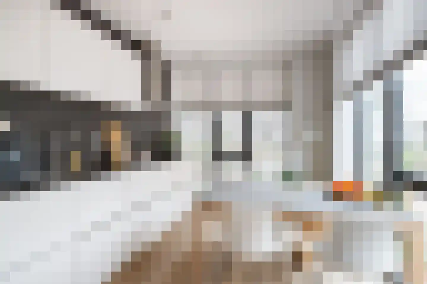 Lippizanerstraat 17 Utrecht thumbnail 9