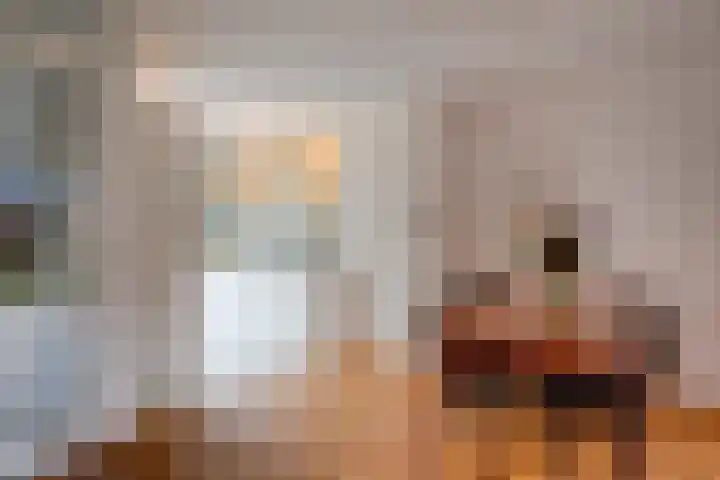 Lippizanerstraat 55 Utrecht thumbnail 11