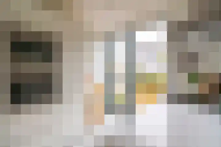 Lippizanerstraat 55 Utrecht thumbnail 12