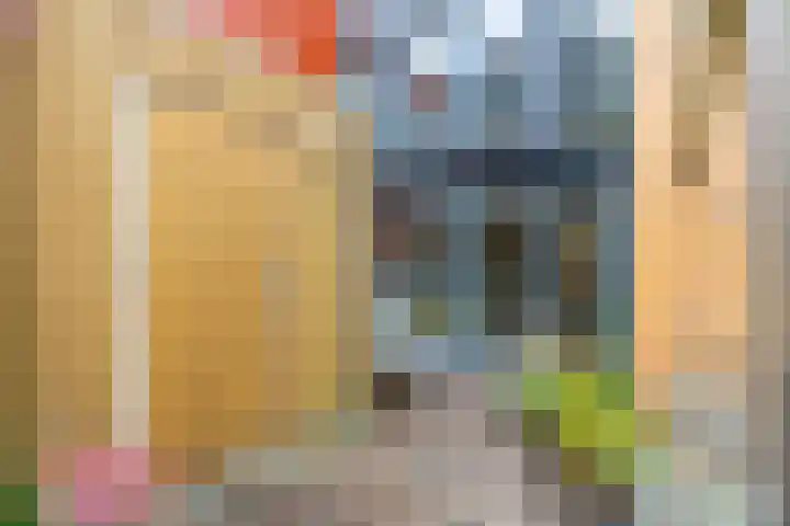 Lippizanerstraat 55 Utrecht thumbnail 17