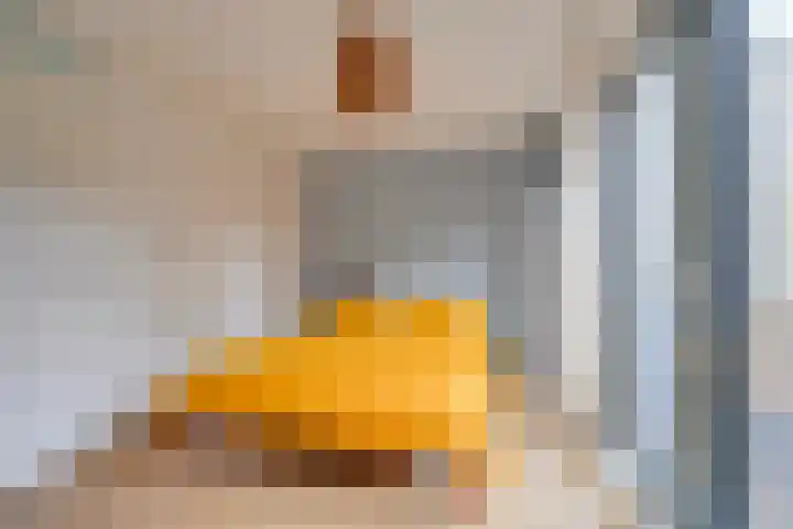 Lippizanerstraat 55 Utrecht thumbnail 21