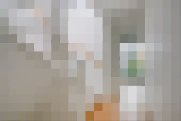 Lippizanerstraat 55 Utrecht thumbnail 29