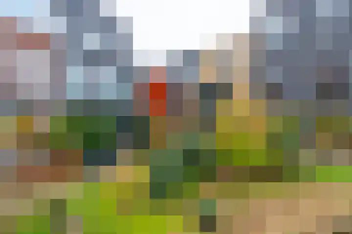 Lippizanerstraat 55 Utrecht thumbnail 38
