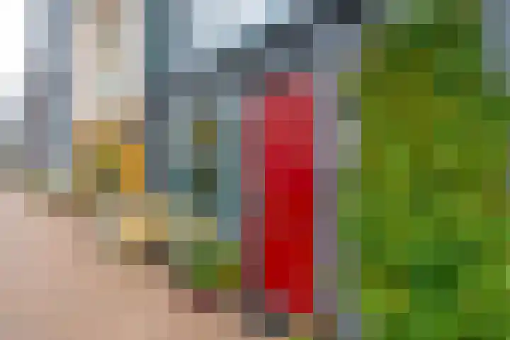 Lippizanerstraat 55 Utrecht thumbnail 4