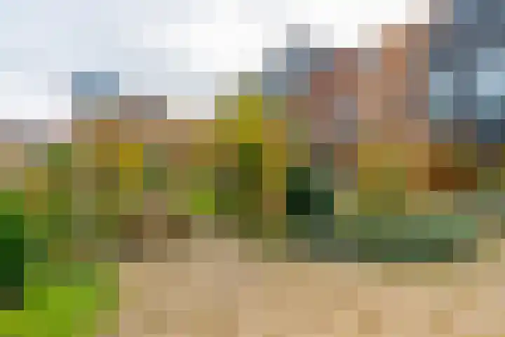 Lippizanerstraat 55 Utrecht thumbnail 40