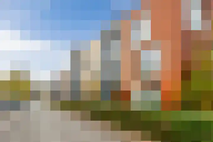 Lippizanerstraat 55 Utrecht thumbnail 45