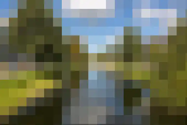 Lippizanerstraat 55 Utrecht thumbnail 48