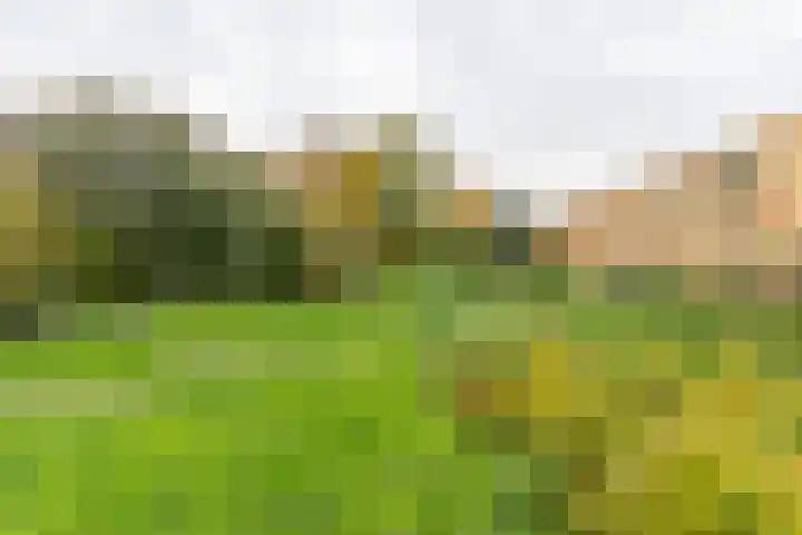 Lippizanerstraat 55 Utrecht thumbnail 49