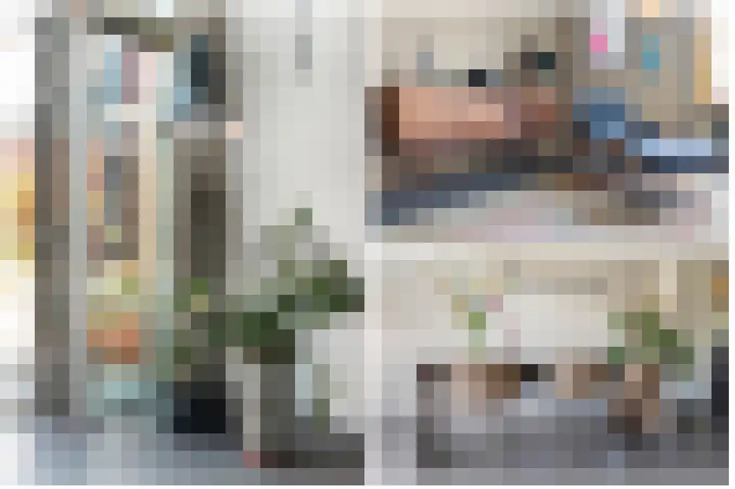 Lippizanerstraat 57 Utrecht thumbnail 16