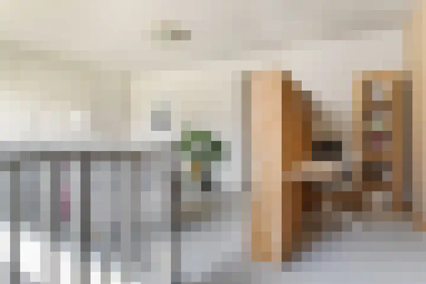 Lippizanerstraat 57 Utrecht thumbnail 21