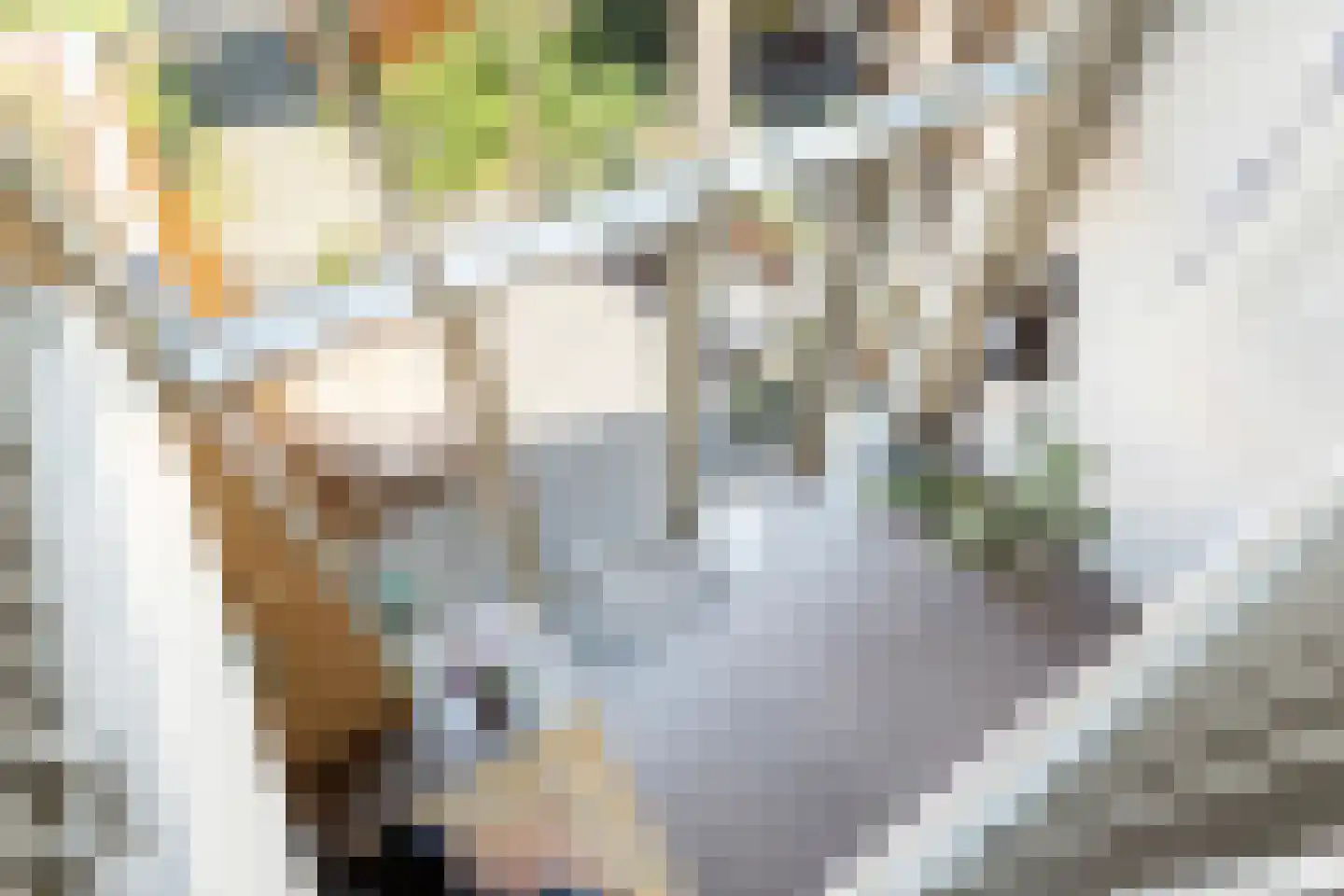 Lippizanerstraat 57 Utrecht thumbnail 25