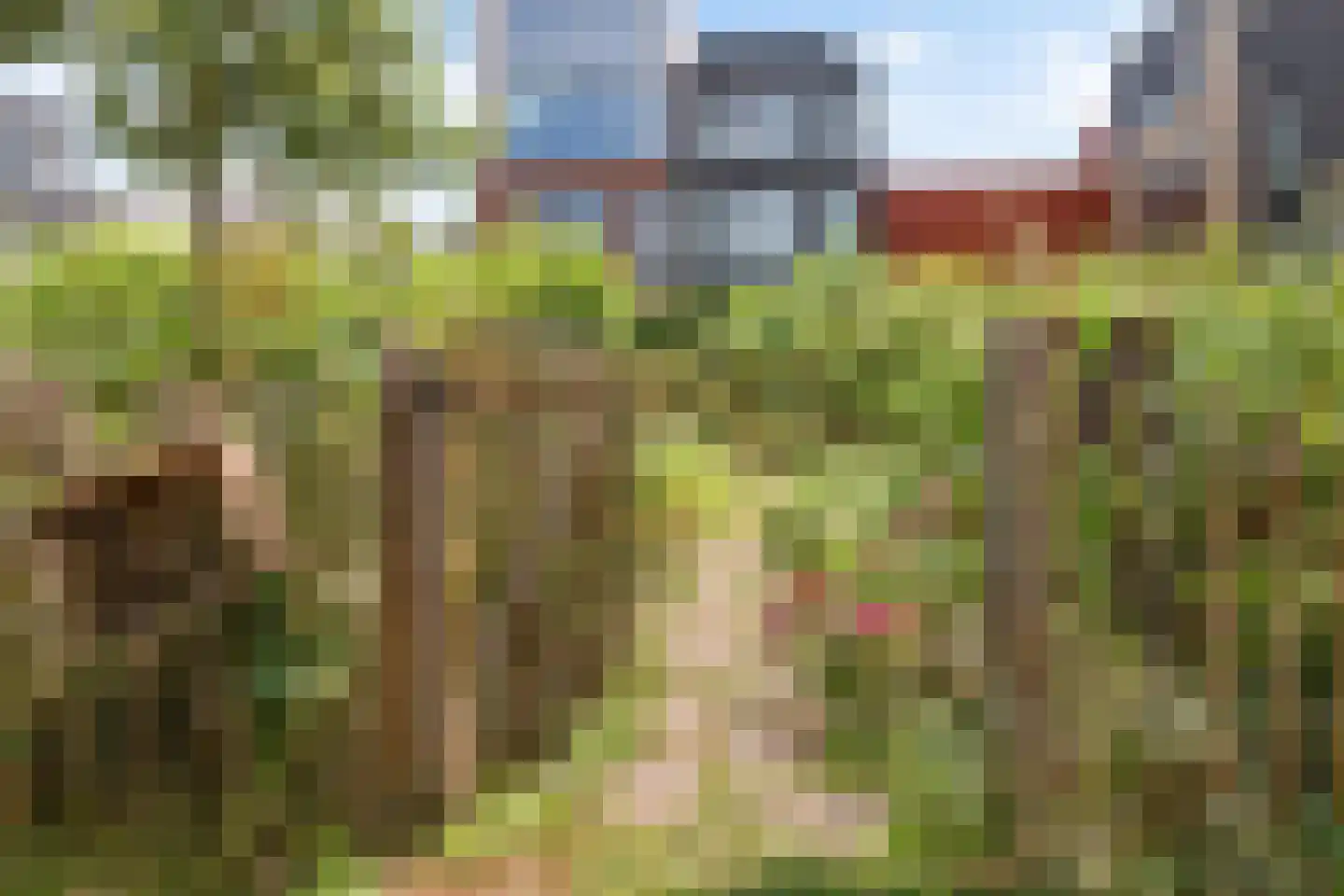 Lippizanerstraat 57 Utrecht thumbnail 45