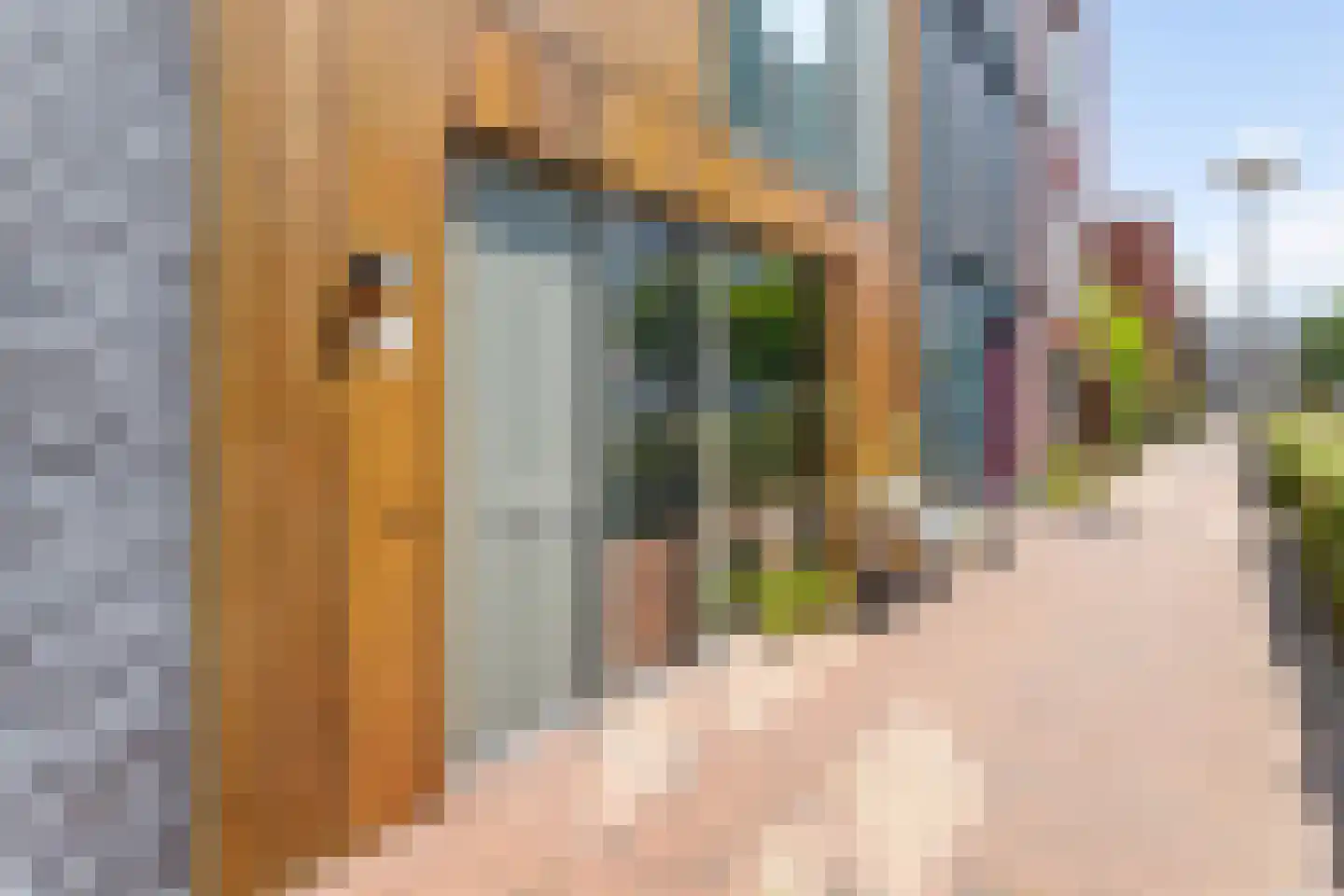 Lippizanerstraat 57 Utrecht thumbnail 7