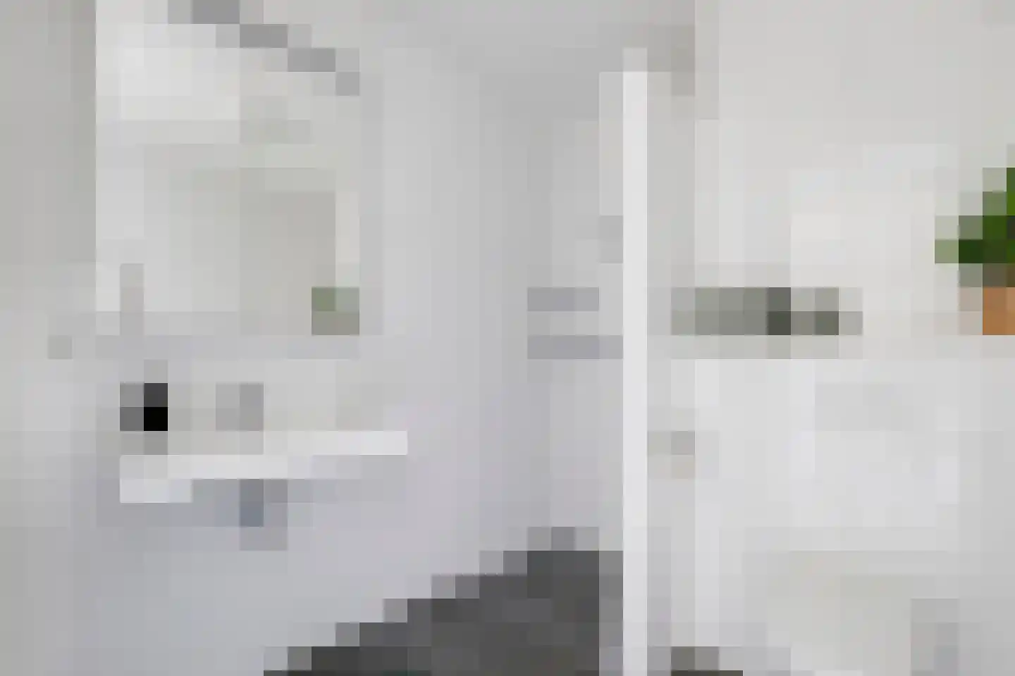 Lippizanerstraat 69 Utrecht thumbnail 19