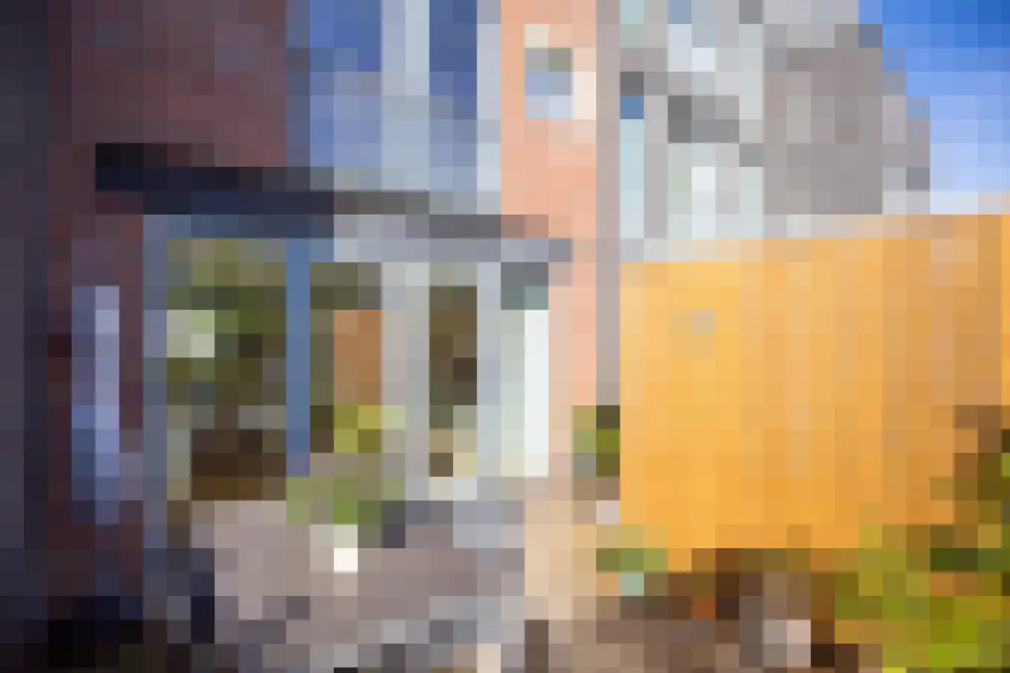 Lippizanerstraat 69 Utrecht thumbnail 39