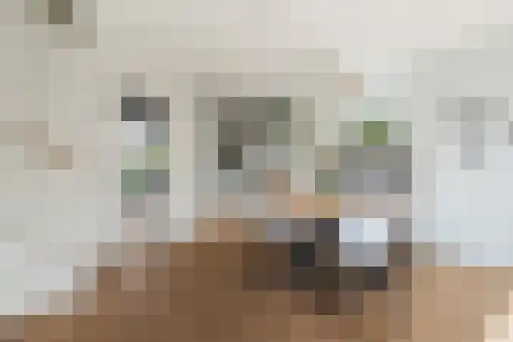 Lippizanerstraat 71 Utrecht thumbnail 11