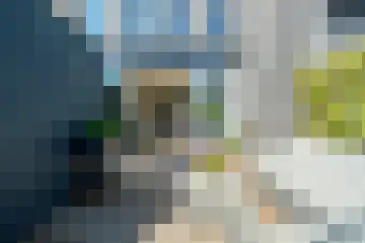 Lippizanerstraat 71 Utrecht thumbnail 20