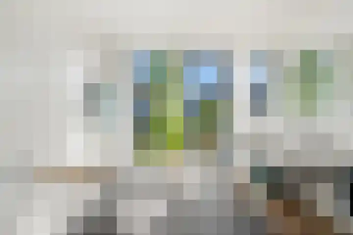 Lippizanerstraat 71 Utrecht thumbnail 29
