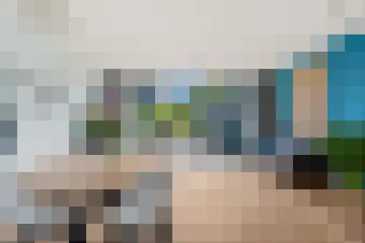 Lippizanerstraat 71 Utrecht thumbnail 4