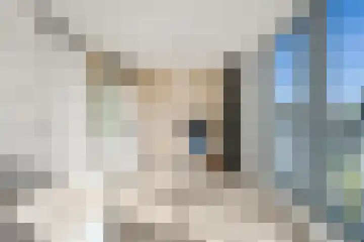 Lippizanerstraat 71 Utrecht thumbnail 42