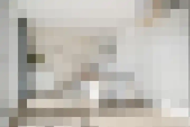 Lippizanerstraat 71 Utrecht thumbnail 44