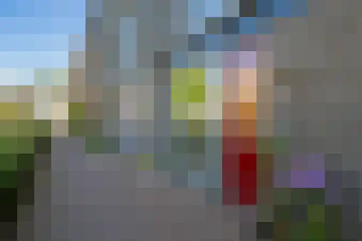 Lippizanerstraat 71 Utrecht thumbnail 56