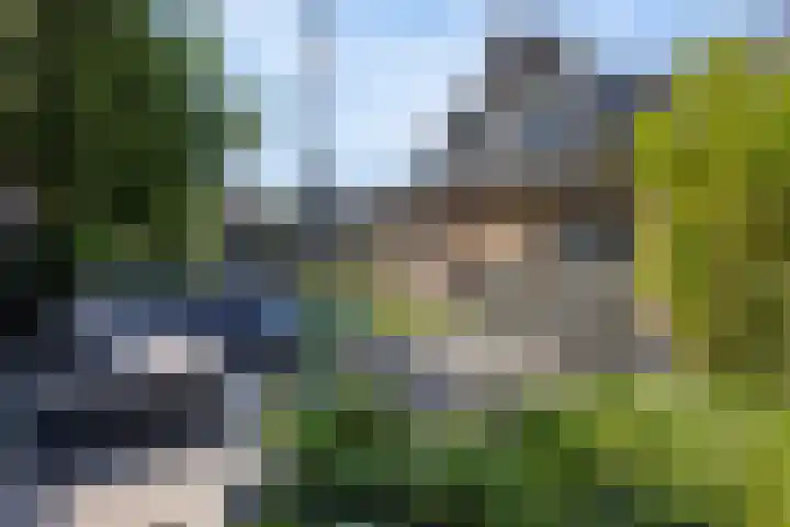 Lipsker 11 Delfzijl thumbnail 12