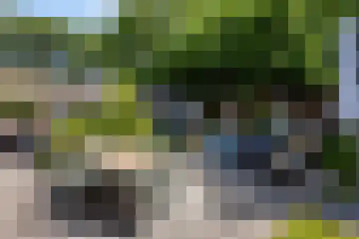 Lipsker 11 Delfzijl thumbnail 14
