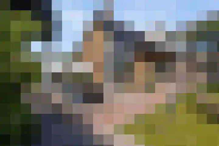 Lipsker 11 Delfzijl thumbnail 17