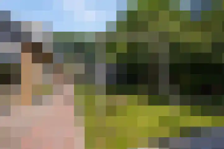 Lipsker 11 Delfzijl thumbnail 18