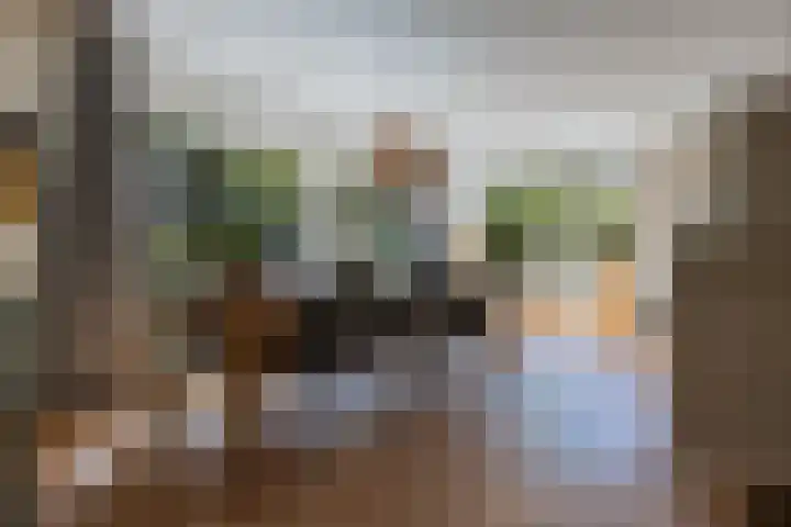 Lipsker 11 Delfzijl thumbnail 24