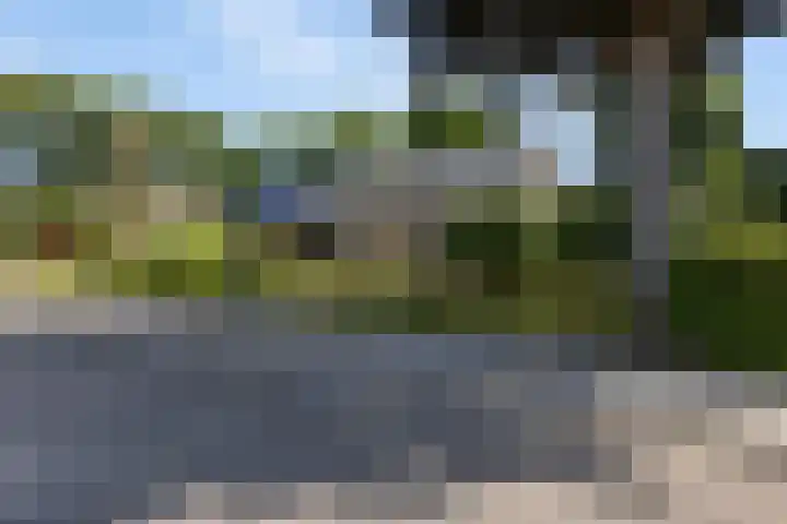 Lipsker 11 Delfzijl thumbnail 5