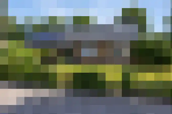 Lipsker 11 Delfzijl thumbnail 6