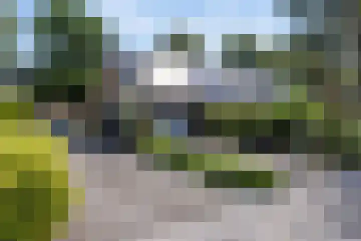 Lipsker 11 Delfzijl thumbnail 8