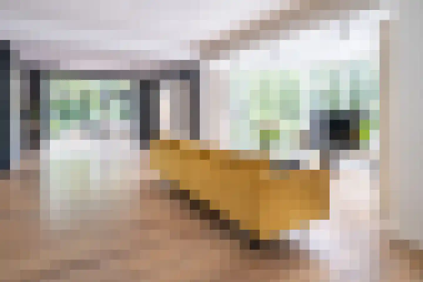Lipsstraat 14 Drunen thumbnail 10