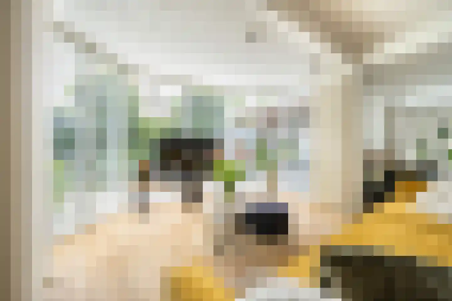 Lipsstraat 14 Drunen thumbnail 11