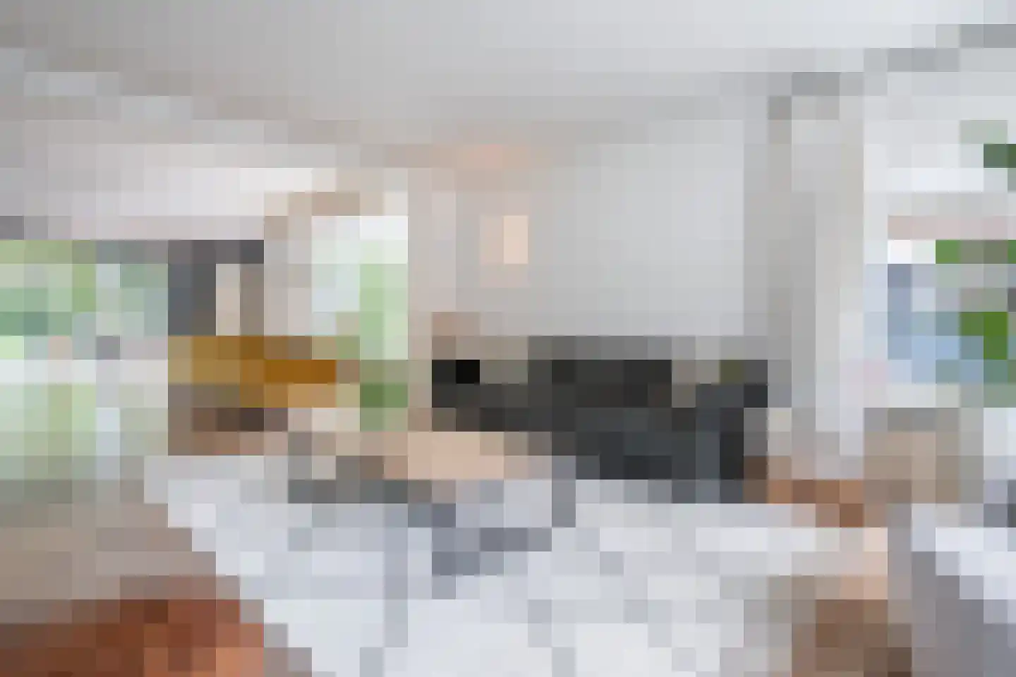 Lipsstraat 14 Drunen thumbnail 13