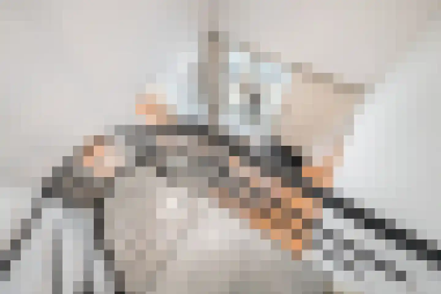 Lipsstraat 14 Drunen thumbnail 23