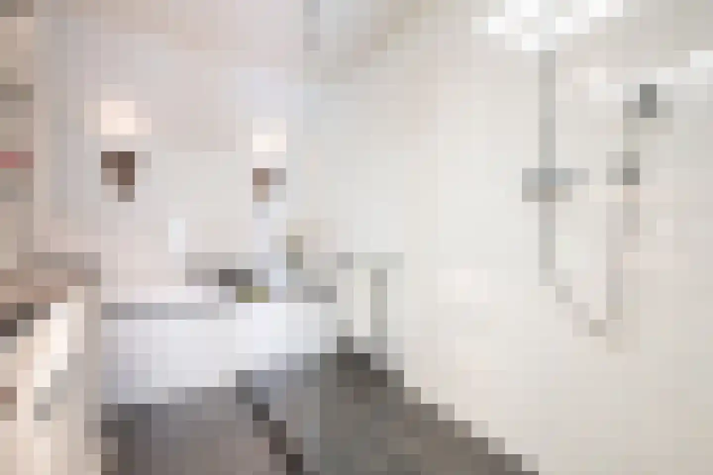 Lipsstraat 14 Drunen thumbnail 27