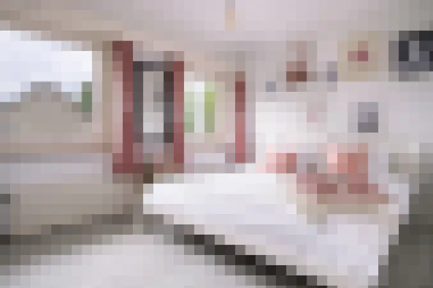 Lipsstraat 14 Drunen thumbnail 29