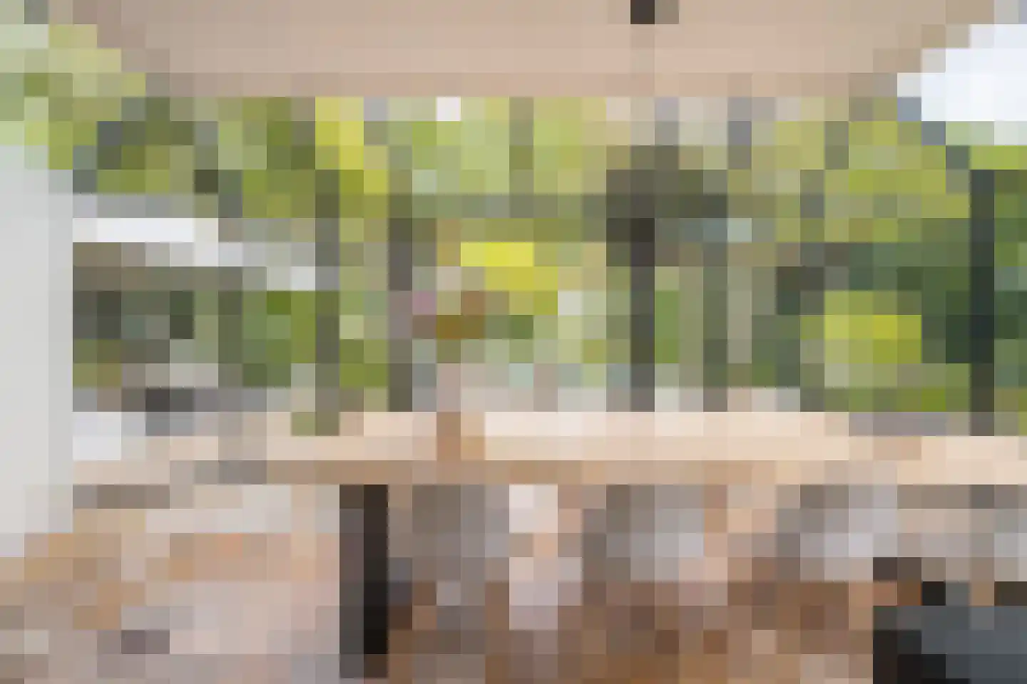 Lipsstraat 14 Drunen foto 3