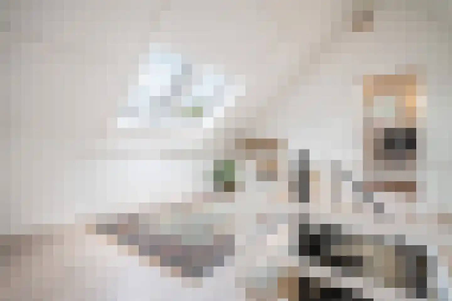 Lipsstraat 14 Drunen thumbnail 34