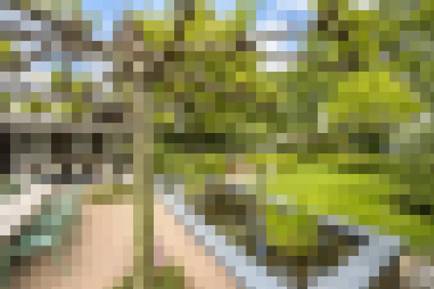 Lipsstraat 14 Drunen thumbnail 39